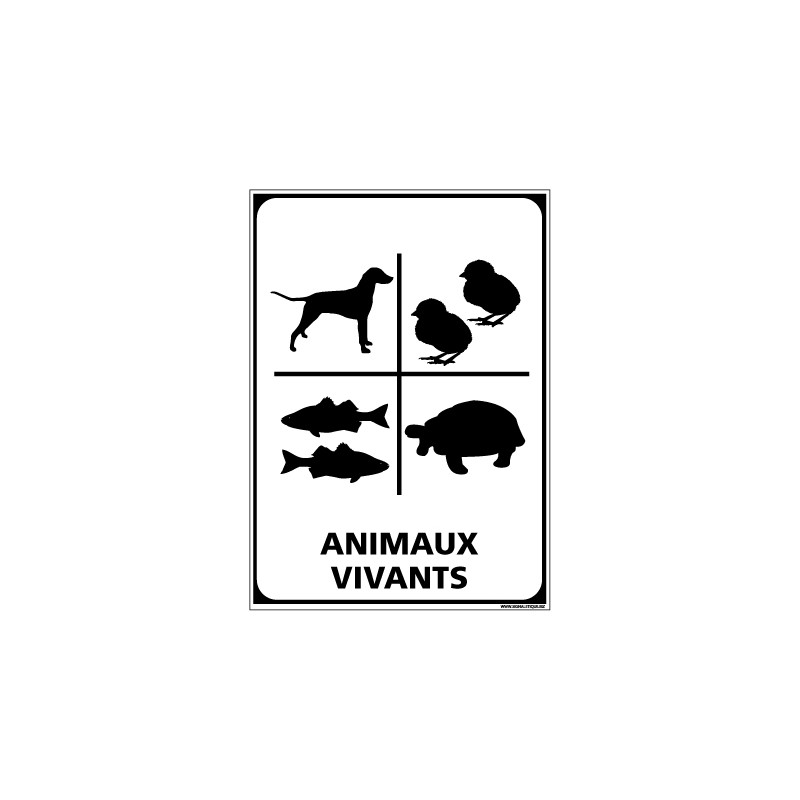 Adhésif de Signalisation CONDITIONNEMENT : ANIMAUX VIVANTS (M0311)