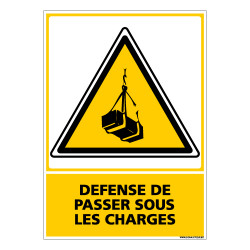 Panneau DEFENSE DE PASSER SOUS LES CHARGES (C0628)