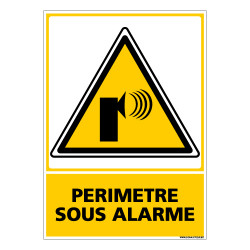 Panneau PERIMETRE SOUS ALARME (C0658)