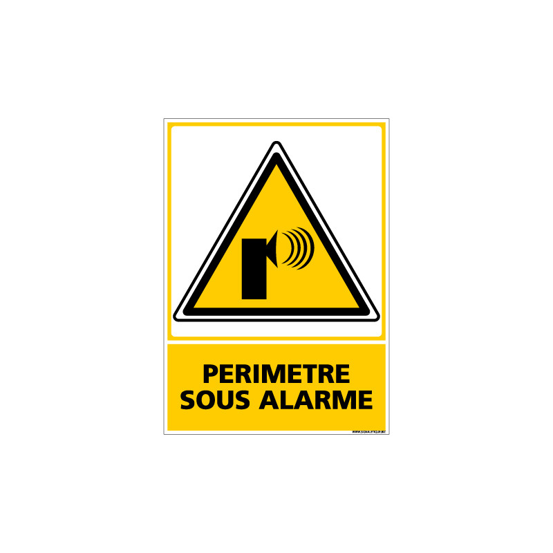 Panneau PERIMETRE SOUS ALARME (C0658)