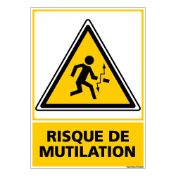 Panneau RISQUE DE MUTILATION (C0678)