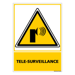 Panneau TELE-SURVEILLANCE (C0687)