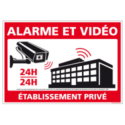 PANNEAU ALARME ET VIDEO 24H/24 - ETABLISSEMENT PRIVE (G1539)