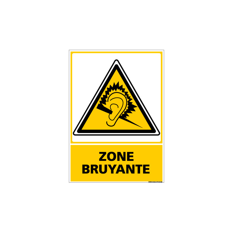 Panneau ZONE BRUYANTE (C0695)