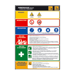 Panneau AMMONIAQUE - HYDROXYDE D'AMMONIUM (C0786)